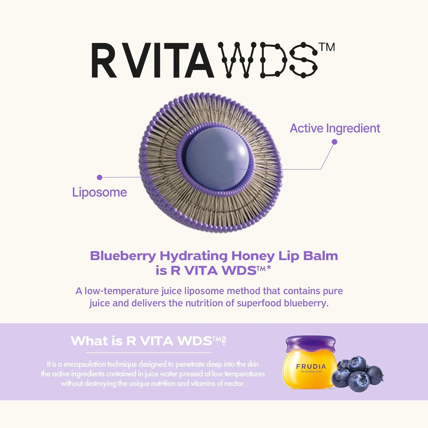 FRUDIA Blueberry Hydrating Honey Lip Balm
