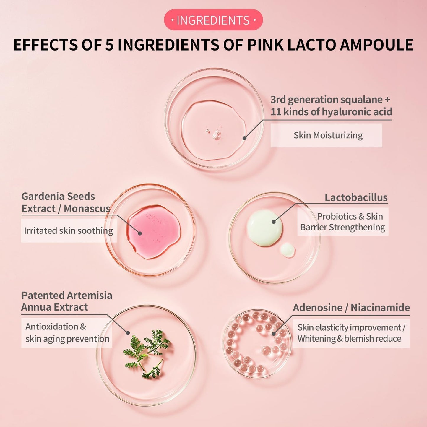 IM SORRY FOR MY SKIN Pink Lacto Ampoule
