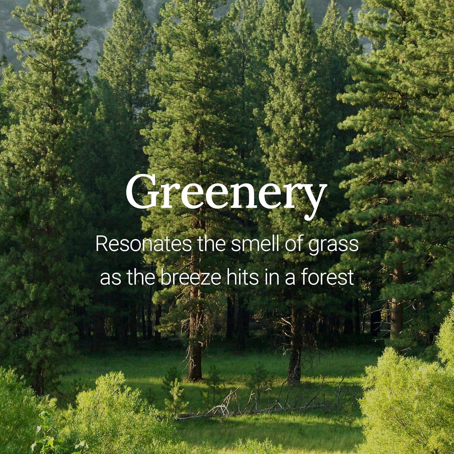 Frudia Re:Proust Essential Blending Hand Cream Greenery