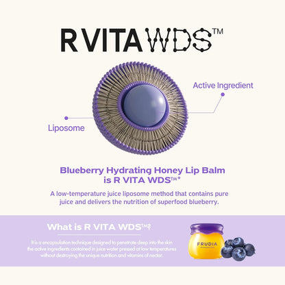 FRUDIA Blueberry Hydrating Honey Lip Balm