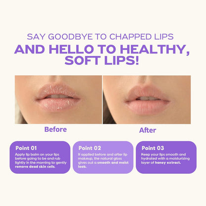 FRUDIA Blueberry Hydrating Honey Lip Balm