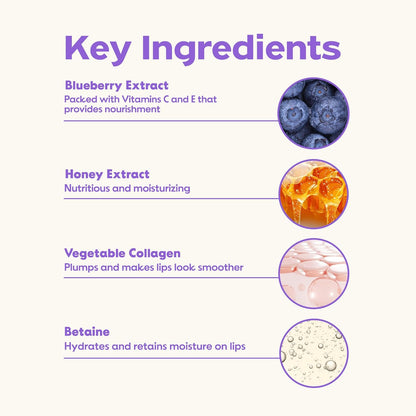 Frudia Blueberry Hydrating Honey Lip Balm [Tube]