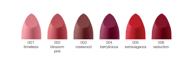 BELLAOGGI KISS AFFAIR MATTE BERRYLICIOUS 004